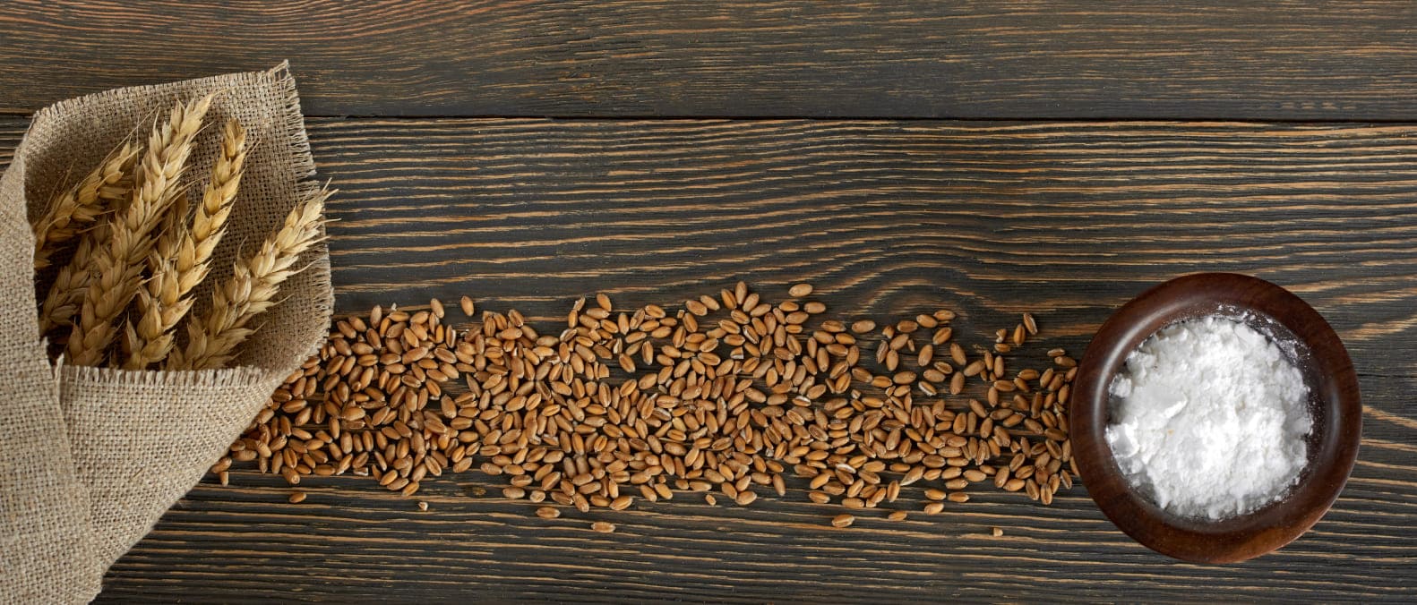 Falcon Trading and Logistic Granes